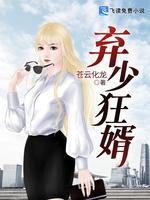 弃少狂婿封面
