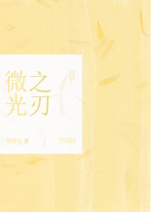 微光之刃封面