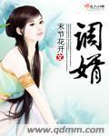 调婿封面