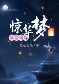 深宫缱绻惊华梦封面