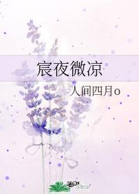 宸夜微凉封面