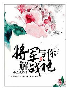 将军与你解战袍封面