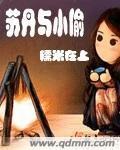 苏丹与小偷封面