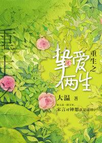 重生之挚爱两生封面