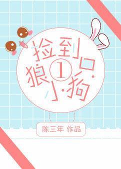 捡到一只小狼狗封面