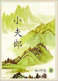 小夫郎封面