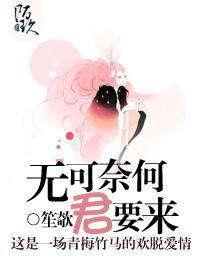 无可奈何君要来封面