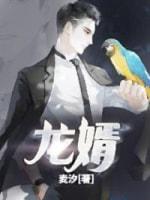 龙婿封面