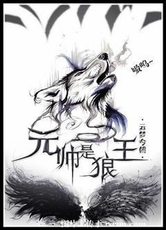元帅是狼王封面