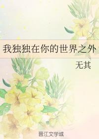 我独独在你的世界之外封面
