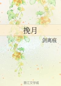 挽月封面