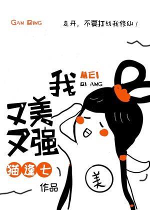 她又美又强封面