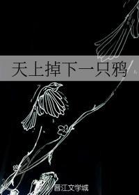 天上掉下一只鸦封面