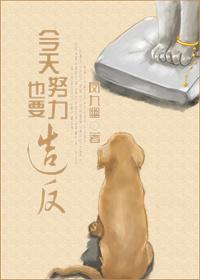 今天也要努力造反封面