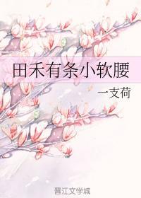 田禾有条小软腰封面