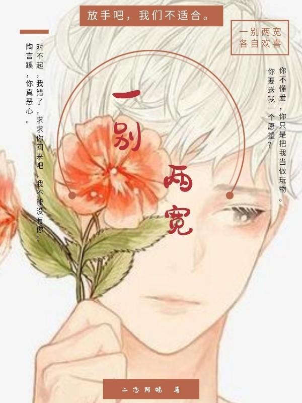 一别两宽封面