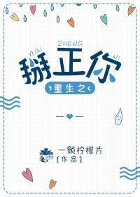 重生之掰正你封面