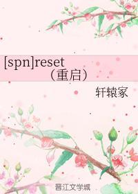 reset(重启)封面