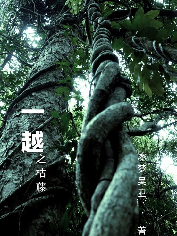 穿越种田文那些年(快穿)封面
