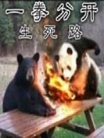 一拳分开生死路封面