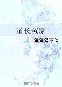 道长冤家封面