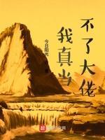 我真当不了大佬封面