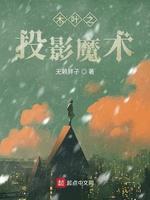 木叶之投影魔术封面