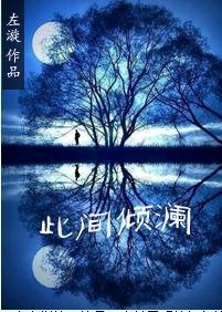 此间倾澜封面