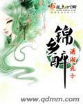 锦乡醉封面
