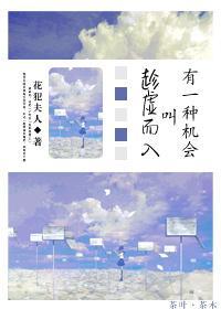 有一种机会叫趁虚而入封面