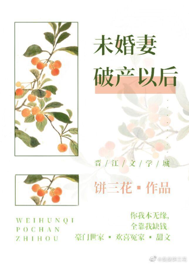 未婚妻破产以后封面