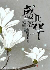 盛世容华封面