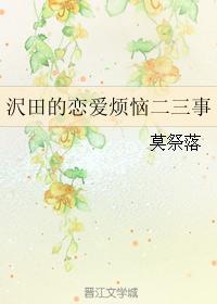 沢田的恋爱烦恼二三事封面