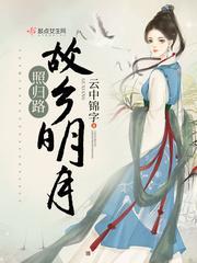 故乡明月照归路封面