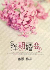 择期婚变封面