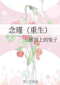 念瑾（重生）封面