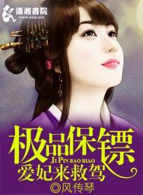 爱妃来救驾封面