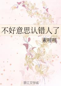 不好意思认错人了封面