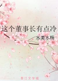 这个董事长有点冷封面