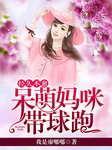 经久不愈，呆萌妈咪带球跑封面