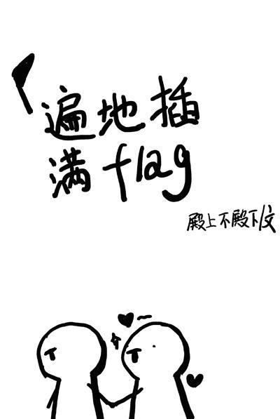 遍地插满flag封面