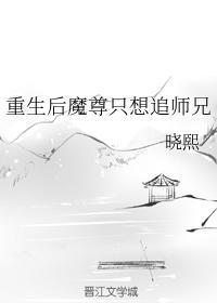 重生后魔尊只想追师兄封面