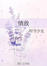 情敌封面