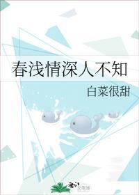 春浅情深人不知封面