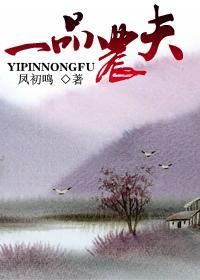 一品农夫封面