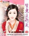 贤妻进行式封面