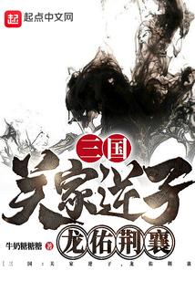 西夏死书封面