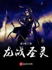 龙战圣灵封面