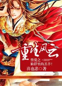 重生风云——禁爱之·狼群里的羔羊!封面
