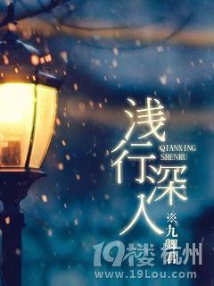 浅行深入封面
